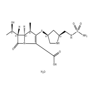 Doripenem Hydrate (364622-82-2) C15H26N4O7S2