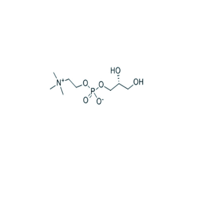 Choline Glycerophosphate