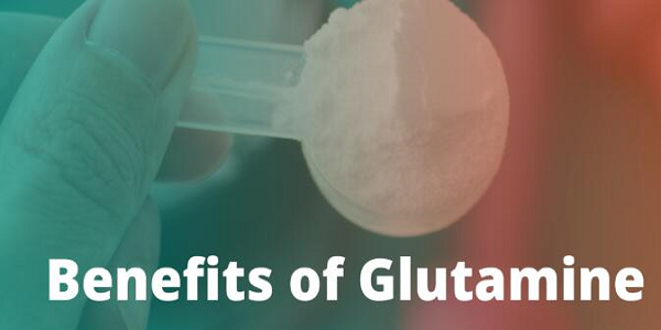 l glutamine benefits