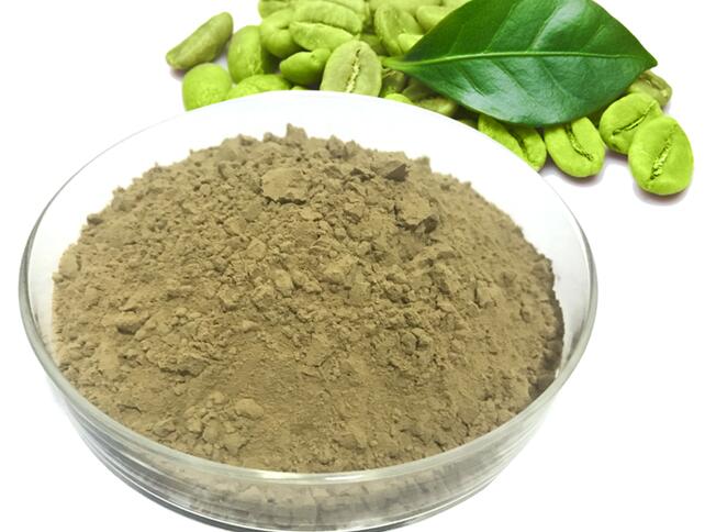 Green Coffee Bean Extract 50 Chlorogenic Acid