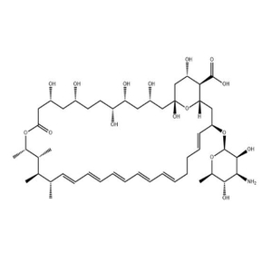 Amphotericin B (1397-89-3) C47H73NO17
